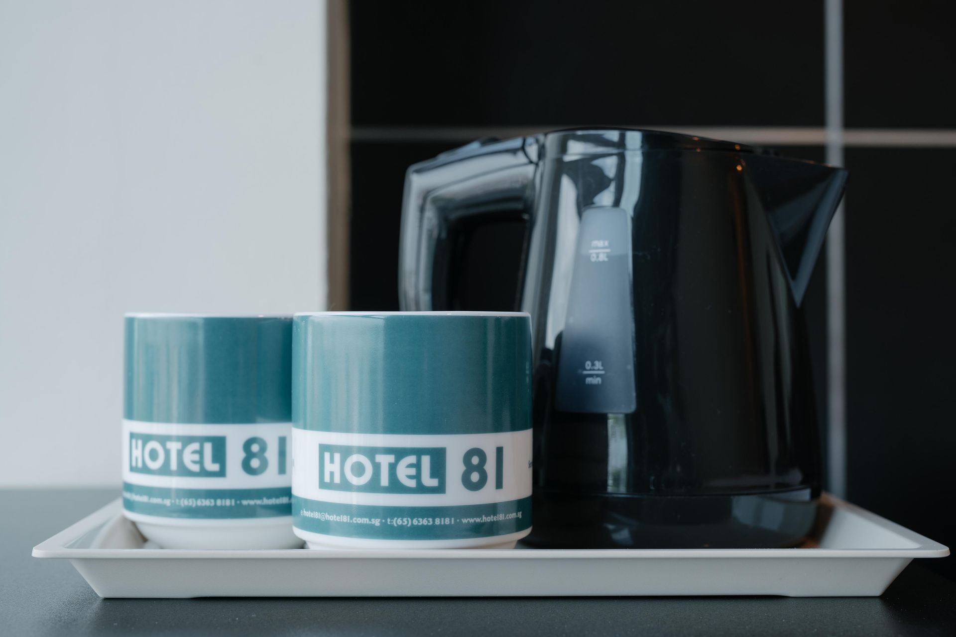 Hotel 81