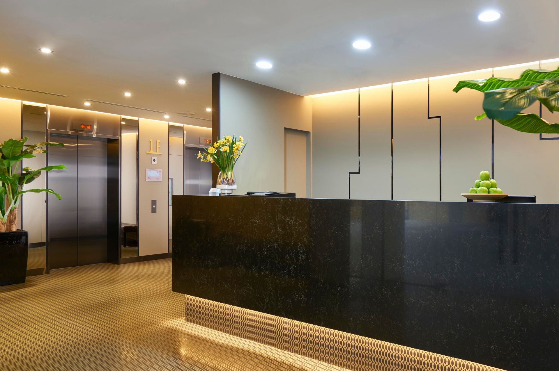 Hotel 81
