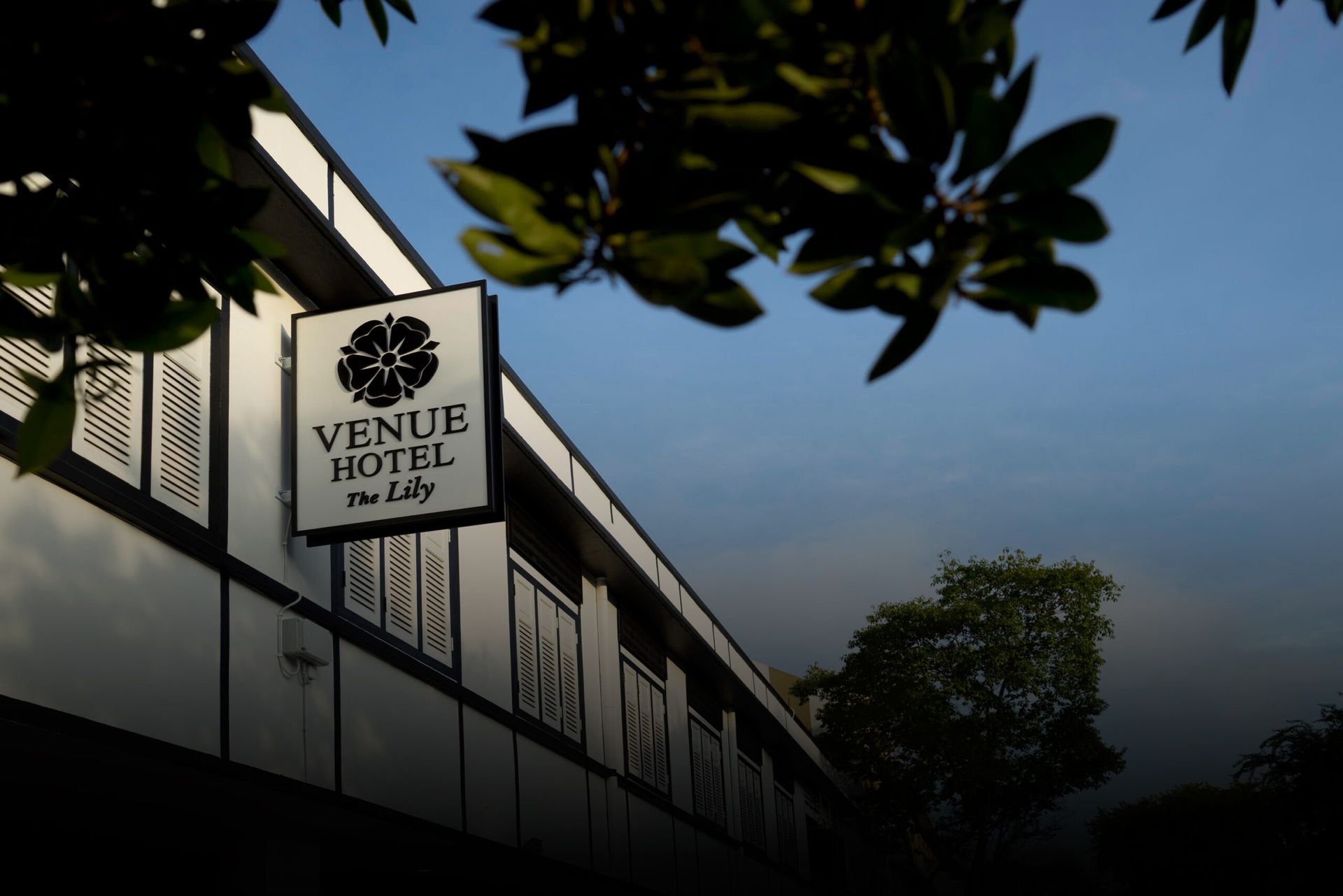 Venue Hotel The Lily