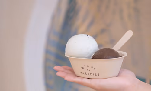 Birds of Paradise Gelato Boutique (Beach Road)