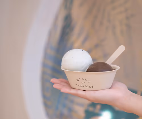 Birds of Paradise Gelato Boutique (Beach Road)
