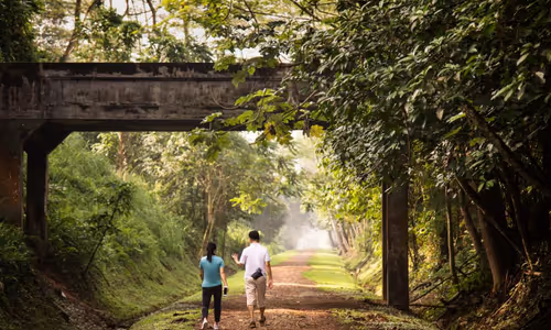 Rail Corridor