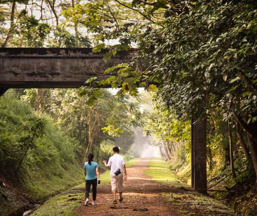 Rail Corridor