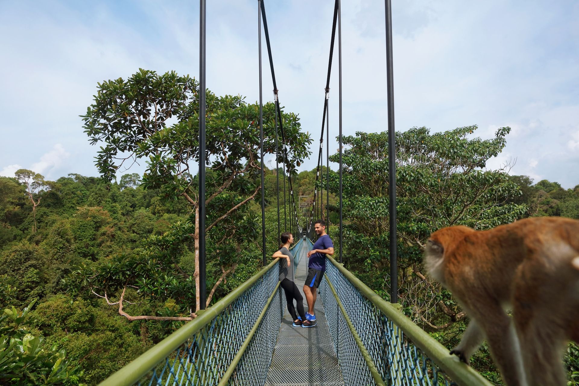 Macritchie Reservoir