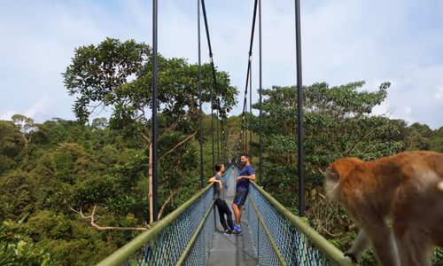 Macritchie Reservoir