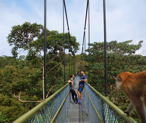 Macritchie Reservoir