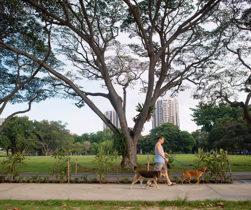 East Coast Park