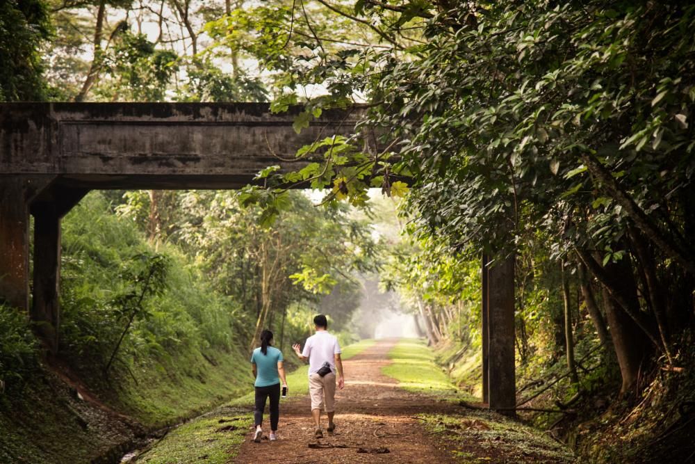 Rail Corridor